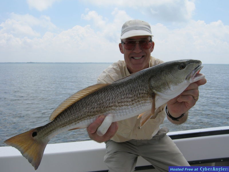 Spawning October Redfish