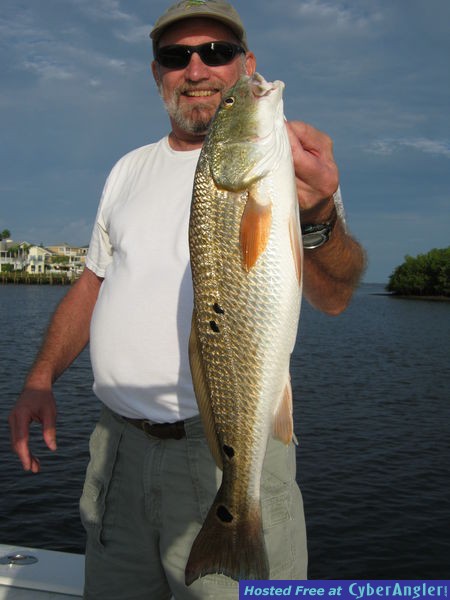 Click to Enlarge Photo