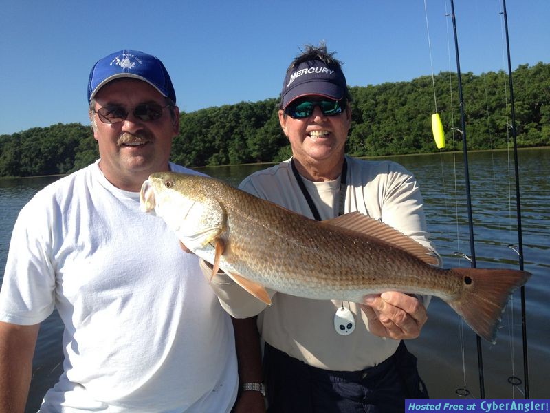 Spawning October Redfish