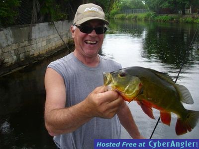 Click to Enlarge Photo