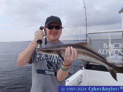 Click to Enlarge Photo