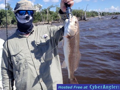 Click to Enlarge Photo