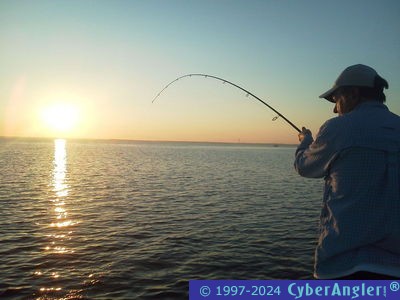 Click to Enlarge Photo