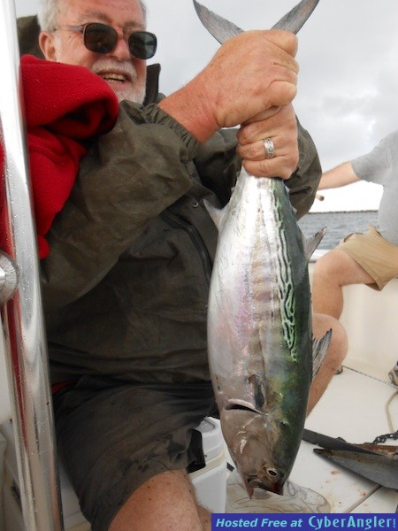 ProFishNC Charters Albacore Fishing