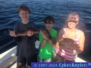 Click to Enlarge Photo