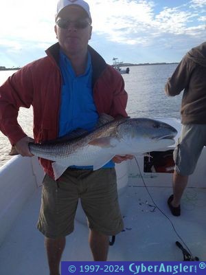 Click to Enlarge Photo