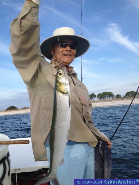 Click to Enlarge Photo