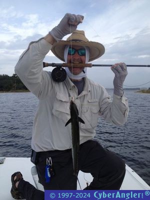 Click to Enlarge Photo