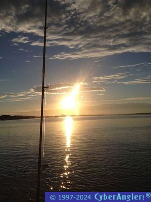 Click to Enlarge Photo