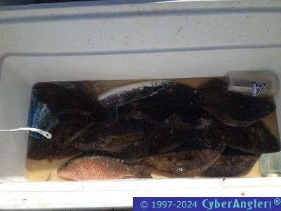 Click to Enlarge Photo