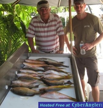 snapper and yellows, inside reef