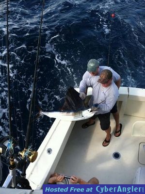 Click to Enlarge Photo