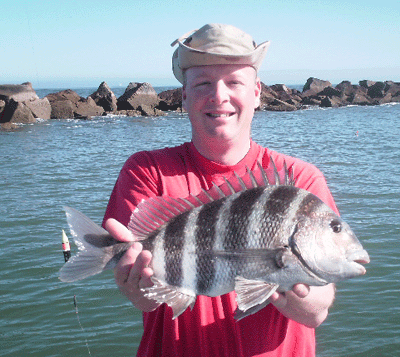 www.captdaves.com