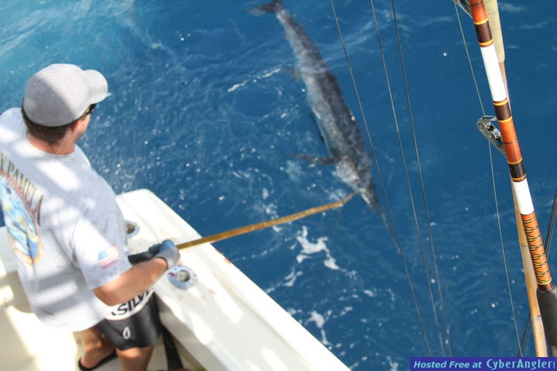 florida fishing trips