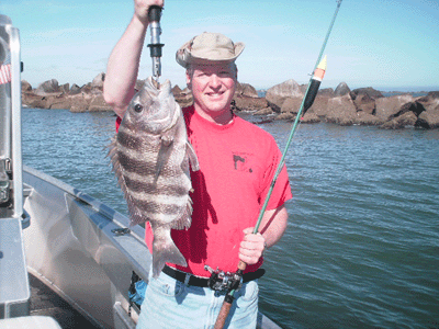 www.captdaves.com