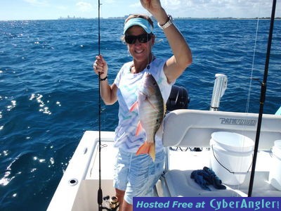 Click to Enlarge Photo