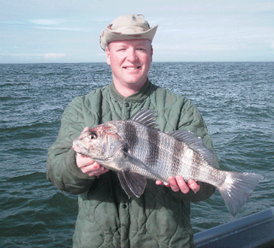 www.captdaves.com