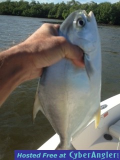 pompano3