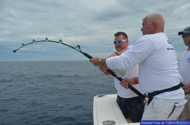 Click to Enlarge Photo