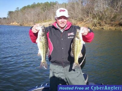 Schooling Spotted Bass!