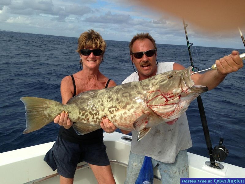 Gag Grouper