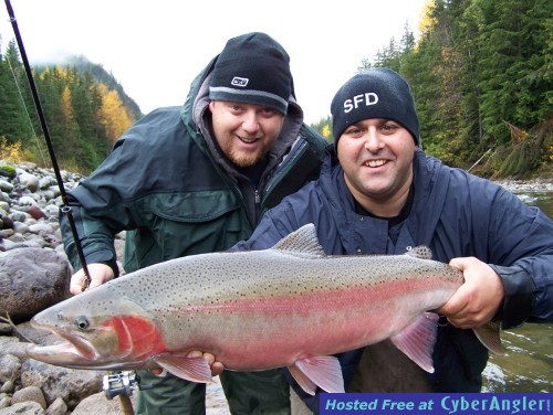 Terrace_Steelhead
