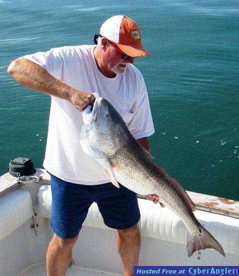 Fall Red Drum