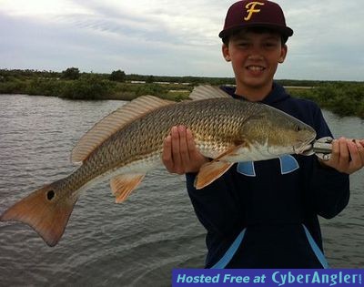 Click to Enlarge Photo