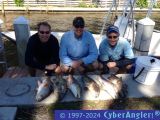 Click to Enlarge Photo