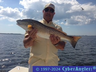 Click to Enlarge Photo