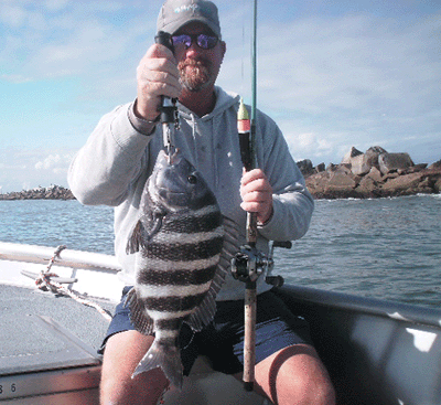 www.captdaves.com