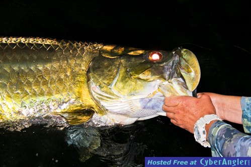 6-12-fishing-_3-of-4_-2