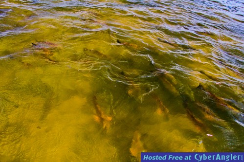6-12-fishing-_5-of-14_