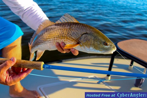 6-12-fishing-_6-of-25_