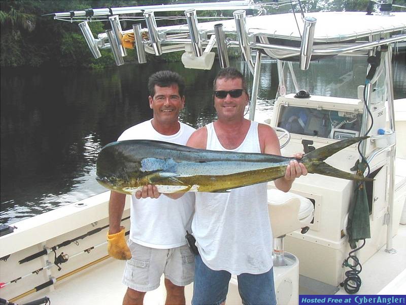 Mahi