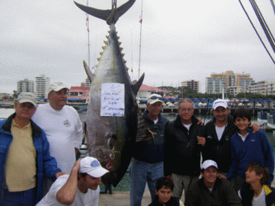 Giant tuna caught during the Salinas National tournament in Ecuador. Dec. 0