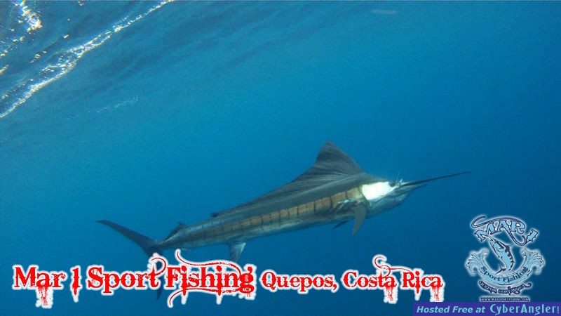 Fish Quepos, Costa Rica