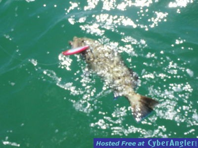 Click to Enlarge Photo