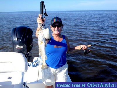 Click to Enlarge Photo