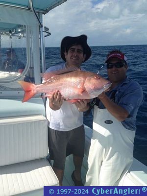 Click to Enlarge Photo