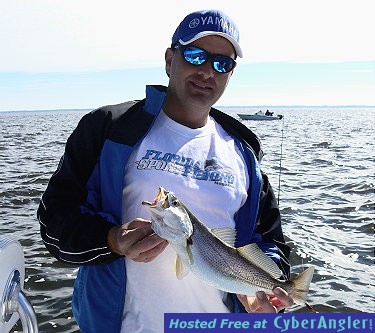 trout011
