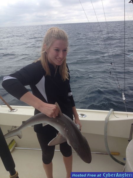 Sharks ft Lauderdale