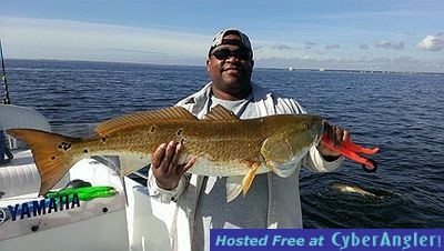 Pensacola Redfish