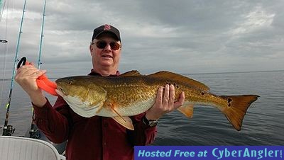 Pensacola Bay Redfish