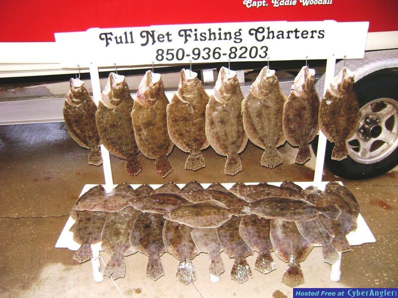 35 Flounder - count'em