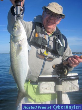 Bill Rhodes Sarasota Bay tandem fly bluefish