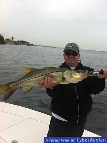 32 inch snook for Gary from England!