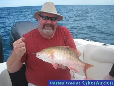 18.5 inch mutton snapper