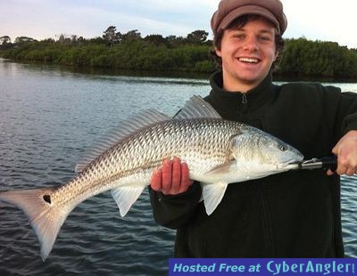 Click to Enlarge Photo