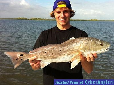 Click to Enlarge Photo